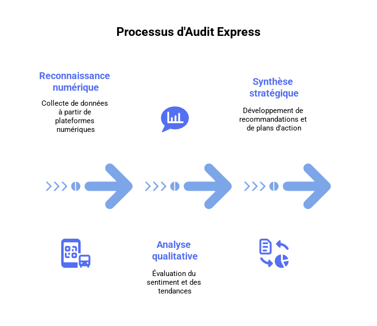 Audit e-reputation